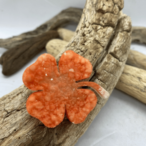 Sagė „Apelsininis keturlapis“