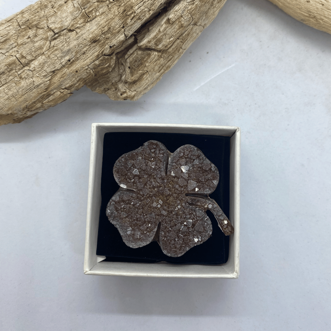 Brooch "Nature's talisman" - Image 2