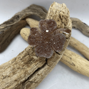 Sagė „Gamtos talismanas“