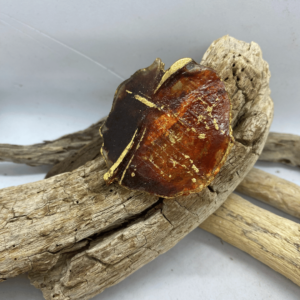 Sagė „Gintarinis žavesys“