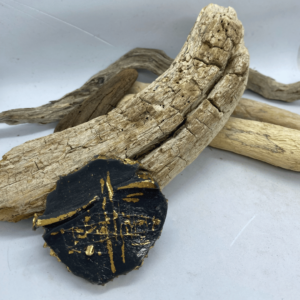 Sagė „Žemės paslaptys“