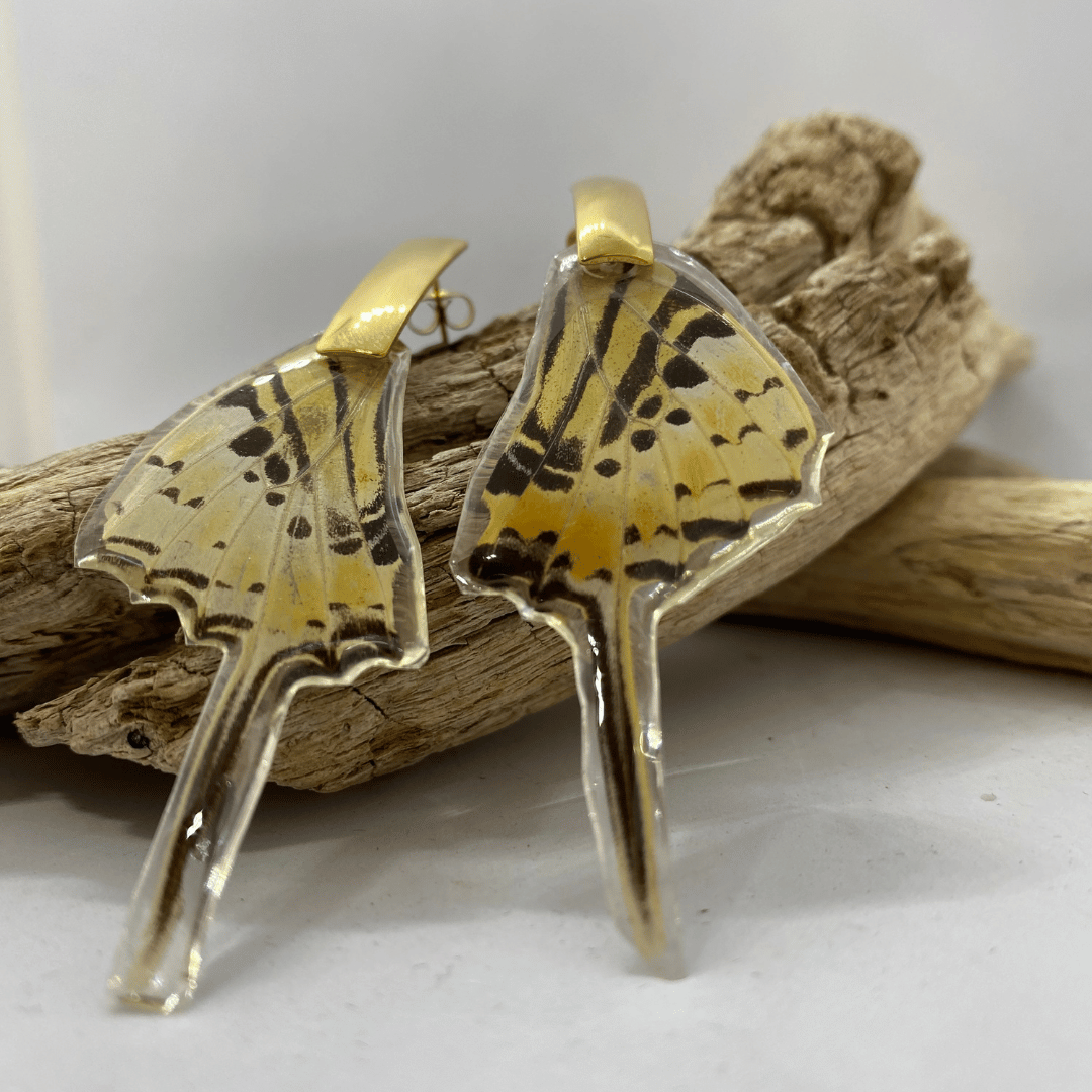 Auskarai „Drugelio meilė“ 9